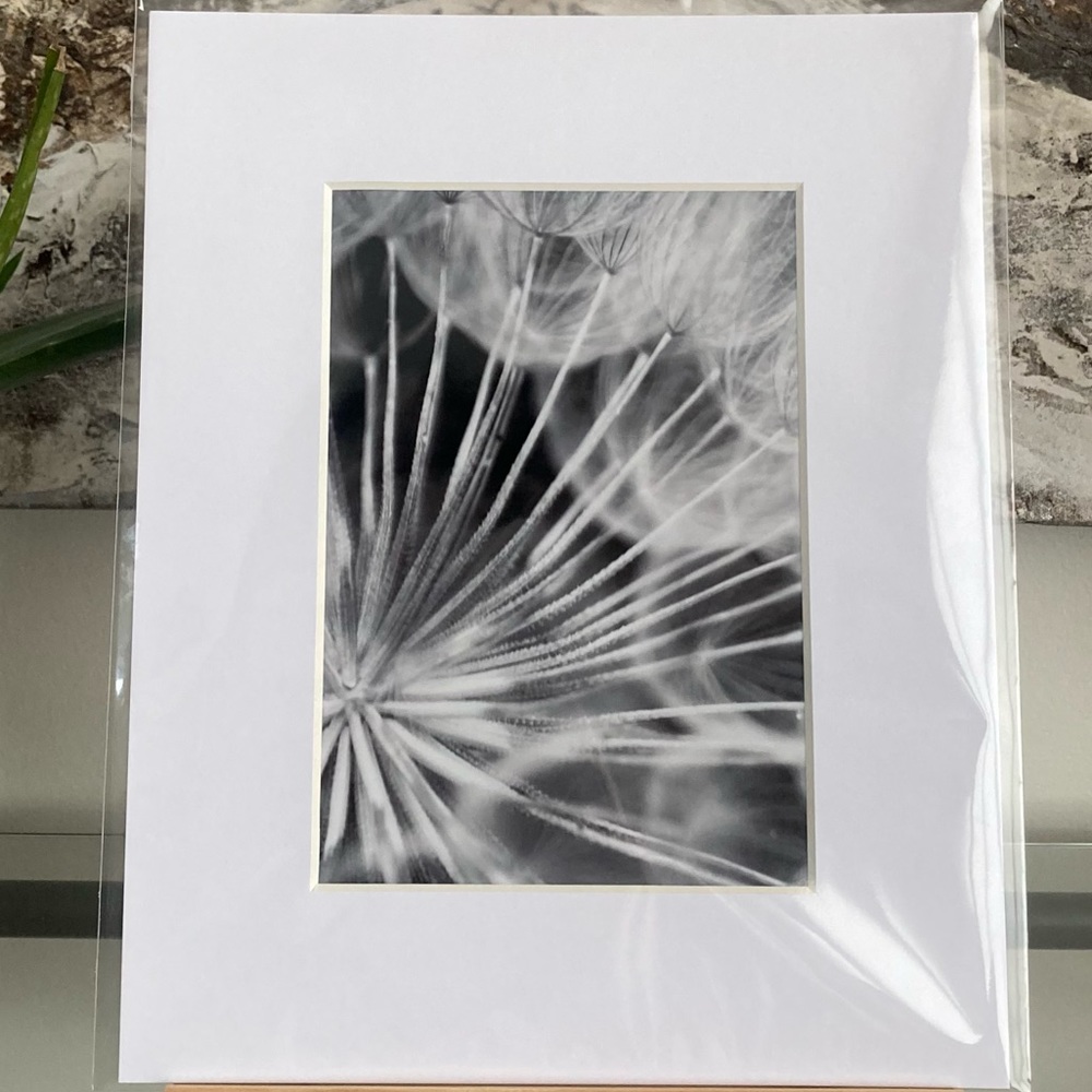 ❌SOLD❌DARK SUBLIME” ~ ORIGINAL ART by ~ @lisamichellebeckerphotography - Picture 13 of 15